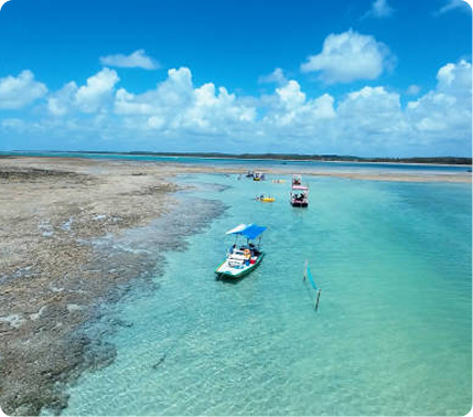 Aya Milagres- Tatuamunha