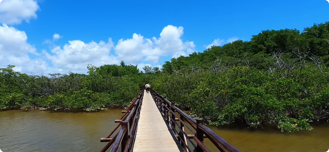 Ponte São Miguel dos Milagres