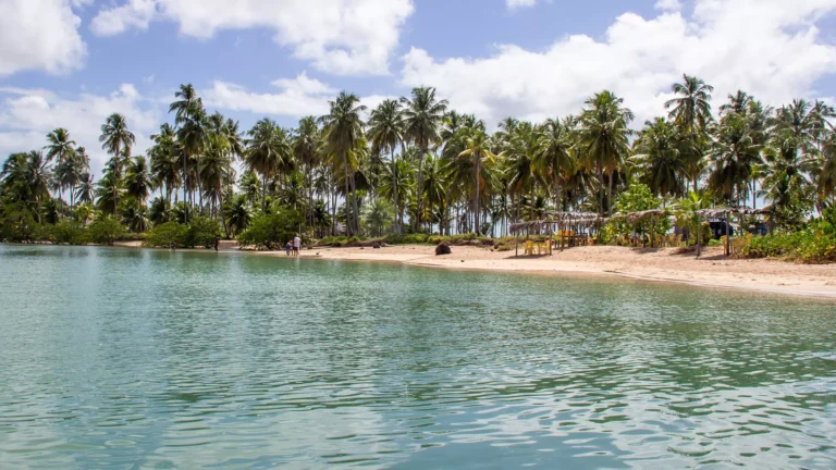 Aya Milagres - Praia de Tatuamunha